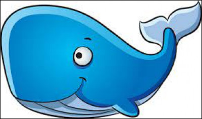 Combien pèse le coeur de la baleine bleue ?