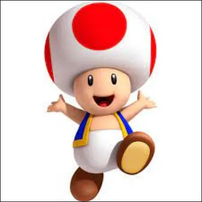 Comment s’appelle ce champignon ?