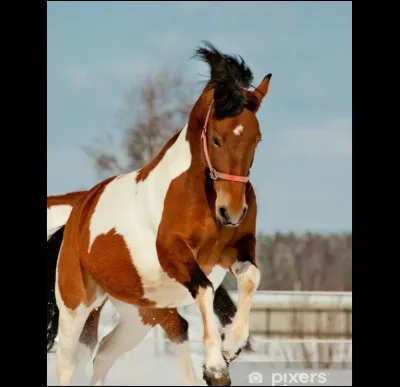 Et pour lui, quelle est-elle ?