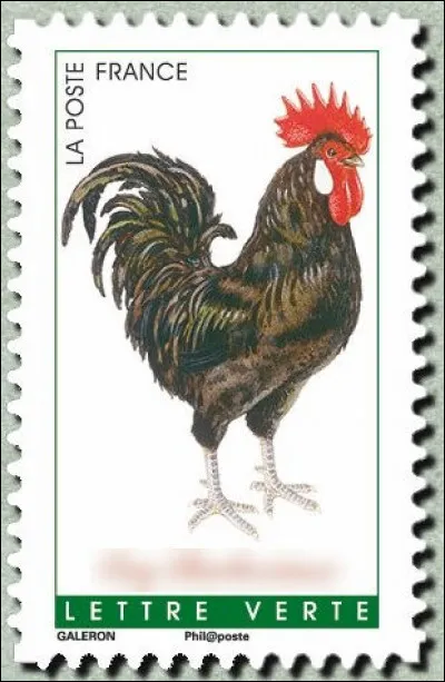 Certains l'ont au menton, mais lui, c'est un original. Qui est-il ?