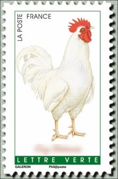 Il a l'air gratiné, çui-ci ! D'où vient-il ?