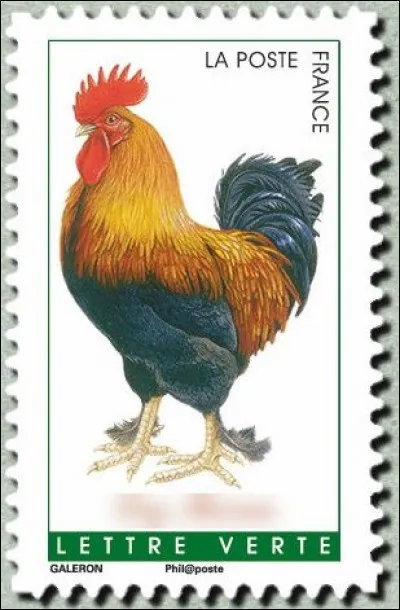 Ne lui dites pas qu'il est drôle, il va se vexer... C'est le coq de/d' ...