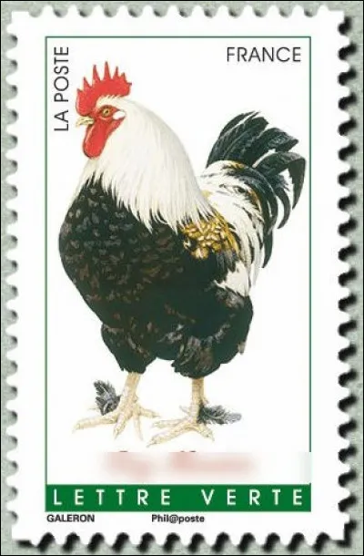 L'endroit idéal pour le coq à la bière ! Où donc ?