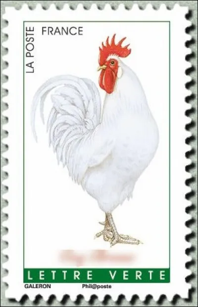 L'Ain dans l'autre, rien ne ...