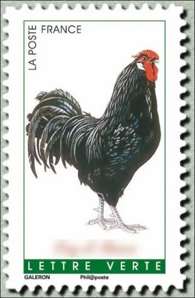 Est-ce que celui-ci ne ferait pas "Kikiriki"*, par hasard ? Car il vient de ... (Complétez !)