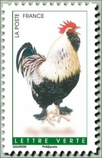 Celui-ci tient un rôle favori à ...