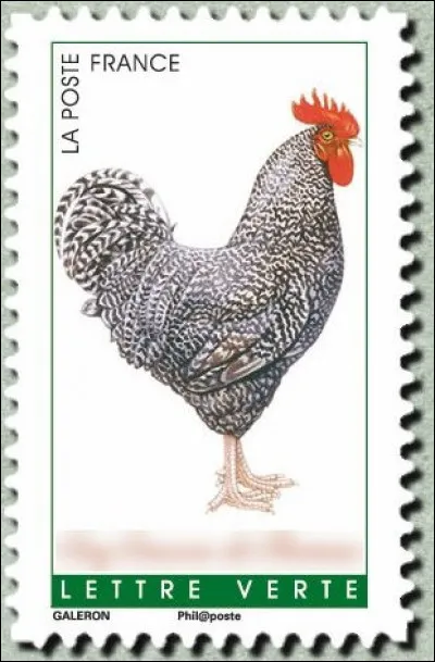 Drôle de nom d'oiseau pour celui-ci ! Lequel ?