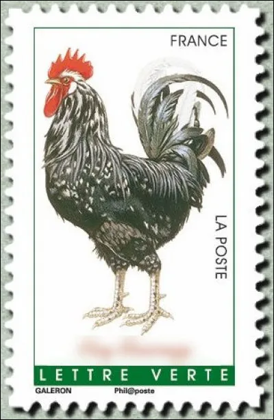 Ce spécimen vous fera ... la tête !