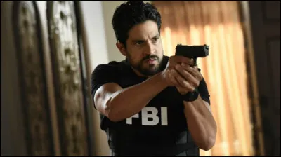 À quelle unité du FBI appartenait Luke Alvez avant dintégrer le DSC ?