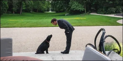 Comment s'appelle le chien du président Emmanuel Macron ?