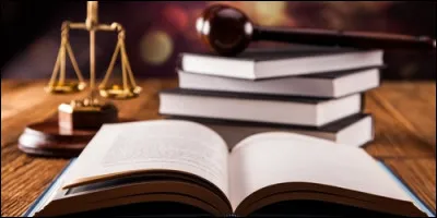 Comment appelle-t-on une loi préparée par le gouvernement ?