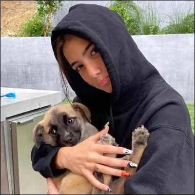 Quel est ton animal pr&eacute;f&eacute;r&eacute; ?