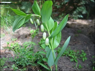 En 1959, comment était le mariage de Jean de La Varende ?
