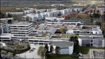 Michel Fitoussi a écrit, en 1990, cinquante centimètres de tissu propre...