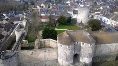 Dans quel département verrez-vous la petite ville de Dourdan et son château du XIIIe siècle ?
