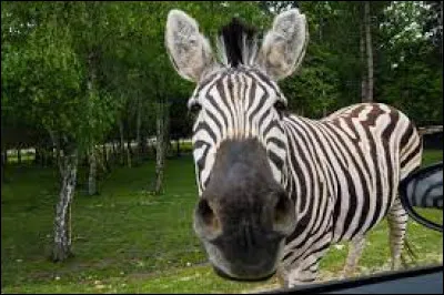 Dans quel département se trouve le vaste parc zoologique de Thoiry ?