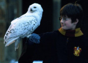 Quiz Es-tu un fan inconditionnel de Harry Potter ? XD