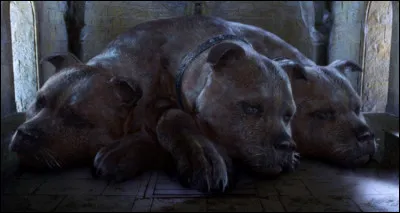 Qui découvre la trappe sous Touffu ?