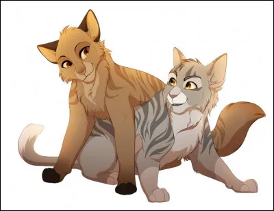 Les lunes ont passé. Tu es finalement devenu un guerrier accompli, sous le nom de Rayon du Soir, aux côtés de tes amis : Feuille de Blizzard et Rafale de Grêle. Au fil des saisons, tu es peu à peu tombé amoureux de cette dernière. Tu souhaites le lui dire, mais tu ne sais pas comment. Que décides-tu de faire ?