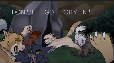 Quelques jours seulement après la naissance des chatons, une violente bataille éclate entre votre clan et celui du Vent ! Feuille de Blizzard et toi vous rendez à la frontière pour repousser vos voisins de la lande. Avant de partir, tu vois Rafale de Grêle lécher l'oreille de son compagnon, le museau anxieux. Comment réagis-tu ?