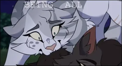 Tu te précipites auprès du matou gris. Sa blessure saigne beaucoup trop, et le camp est bien trop loin pour l'y emmener se faire soigner. Alors que tu cherches des yeux un moyen de l'aider, Feuille de Blizzard te murmure qu'il est trop tard, et qu'il va rejoindre le clan des Étoiles. Que lui réponds-tu ?