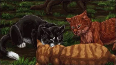 Le cur lourd, tu portes le corps de ton défunt camarade jusqu'au camp, où Rafale de Grêle, le regard d'abord incrédule, puis brisé par la tristesse, se précipite pour enfouir sa truffe dans la fourrure de son compagnon. Tu sens que tu dois aller lui parler. Que lui dis-tu ?