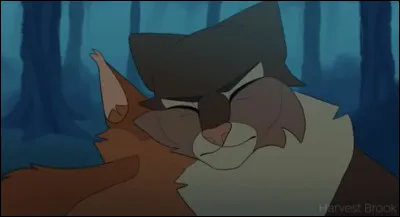 Après avoir délivré le message de Feuille de Blizzard à Rafale de Grêle, elle et toi veillez toute la nuit durant le corps du chat gris. Au matin, alors que vous venez d'enterrer le défunt, une volute de brume avec une forme familière apparaît près de vous. Feuille de Blizzard vous adresse un regard aussi chaleureux qu'un rayon de soleil, avant de s'élancer vers le ciel. Comment réagis-tu ?