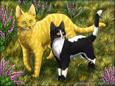 Le soleil est à présent haut dans le ciel, et tu franchis pour la dernière fois l'entrée de la pouponnière, suivi de près par Petite Rafale et Petit Blizzard. Sous le regard du clan tout entier, vous recevez vos noms d'apprentis ! Puis Étoile d'Épine, votre meneur, t'annonce que ton mentor sera Tache d'Ombre, la lieutenante du clan ! Comment réagis-tu ?