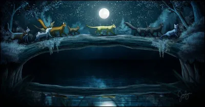 Tu contemples le ciel où luit une lune parfaitement ronde. Étoile d'Épine vous a permis de vous rendre à la réunion, tes deux amis et toi, et vous vous apprêtez à présent à franchir l'arbre pont. Sitôt traversé, tu pénètres au cur de l'île. Là, Nuage de Rafale se dirige timidement vers un groupe d'apprentis du clan du Vent tandis que Nuage de Blizzard part explorer les environs. Que décides-tu ?