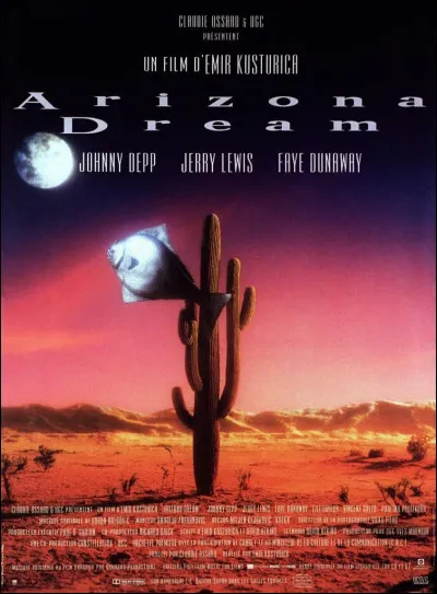 Quelle chanson est issue du film "Arizona Dreams" ?