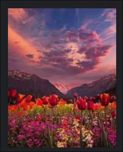 Quelle saison préfères-tu ?