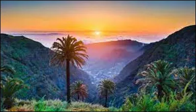 &Agrave; quel pays les &icirc;les Canaries appartiennent-elles ?