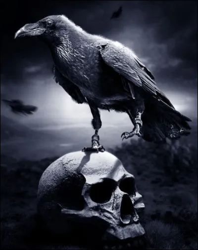 Et pour finir, pourquoi Kaz a-t-il choisi le corbeau comme symbole ?