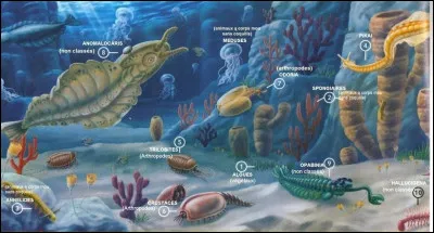 À quel époque a-t-il vécu ?