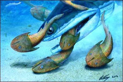 Quelle époque du Paléozoïque suit le Cambrien ?