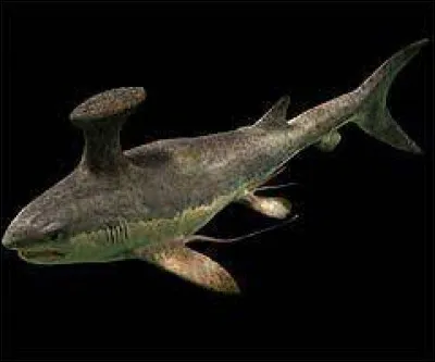 Quelle est la place de ce poisson dans la chaîne alimentaire de l'époque ?