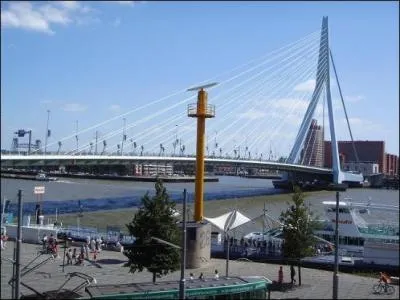 Voici l'Erasmus Bridge, pont de la ville de la 1re étape du Tour 2010 :