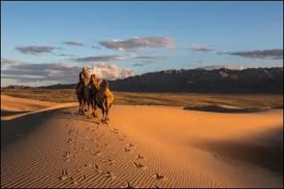 Sur quel continent le d&eacute;sert de Gobi est-il situ&eacute; ?