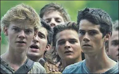 Qui joue le r&ocirc;le de Thomas dans le film "Le Labyrinthe" ?