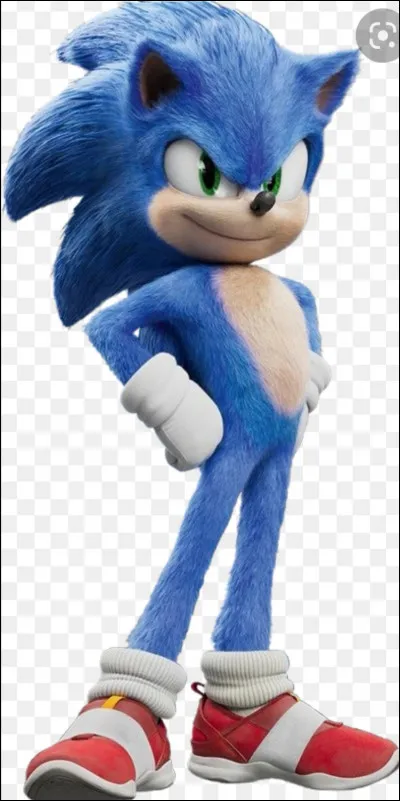 Qui sont les deux amis de Sonic ?
