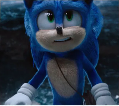 Quels sont les pouvoirs de Sonic ?