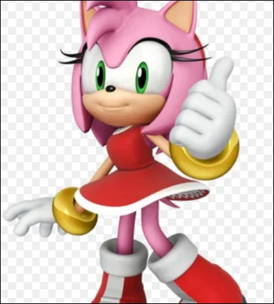 Qui est l'amoureuse de Sonic ?