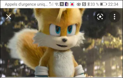 Tails peut-elle voler ?