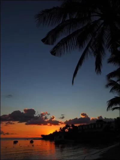 De quel instrument de musique joue-t-elle depuis l'enfance ?