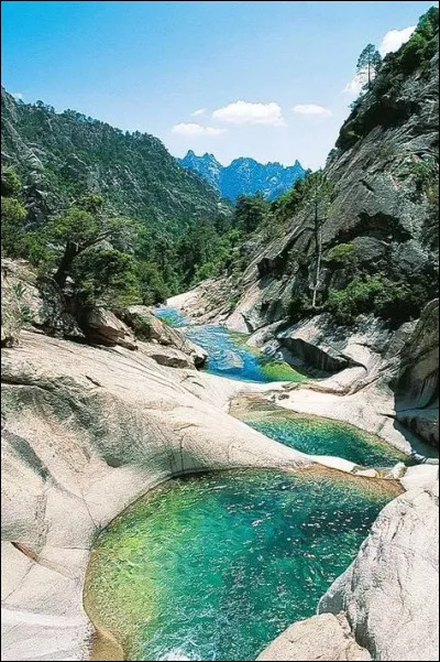 Quel était son premier single ?