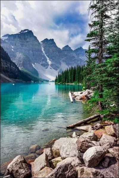 En quelle année l'ordinateur Lisa a-t-il été commercialisé ?