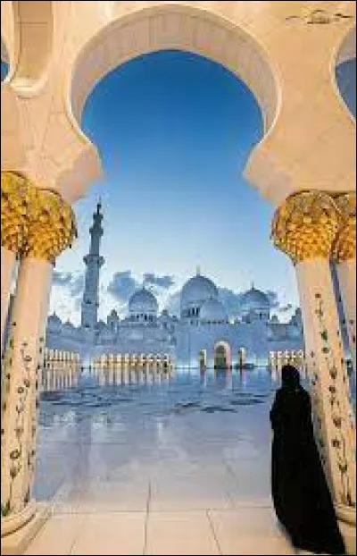 On peut faire les ablutions sèches (tayammum) si...