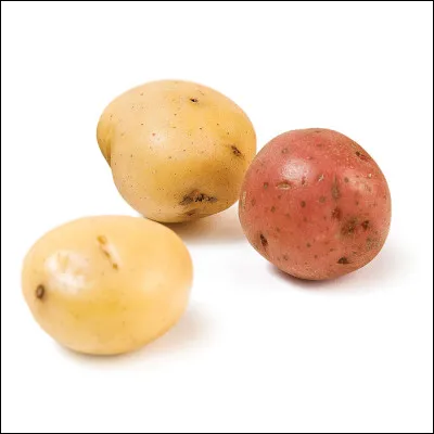 Lequel de ces mots désigne à la fois une purée et un type de tissu ?