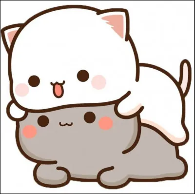 Quaimes-tu le plus ?