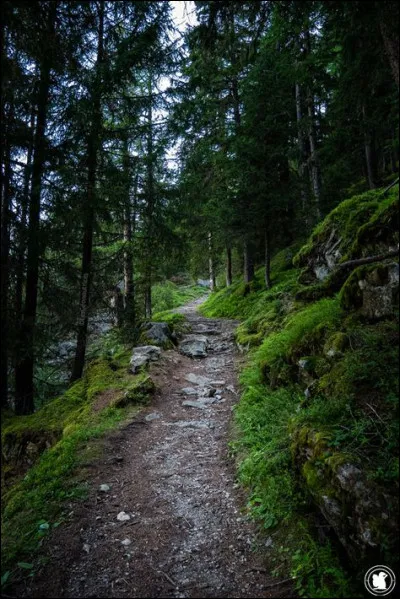 Dans quelle partie du corps la poire d'angoisse est-elle placée ?
